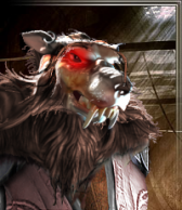 greyback3.png